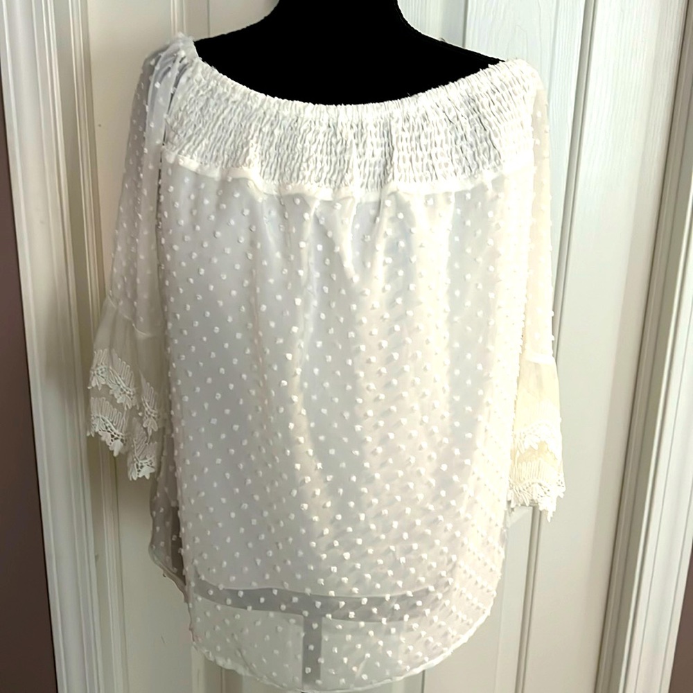 Beautiful Lined Blouse